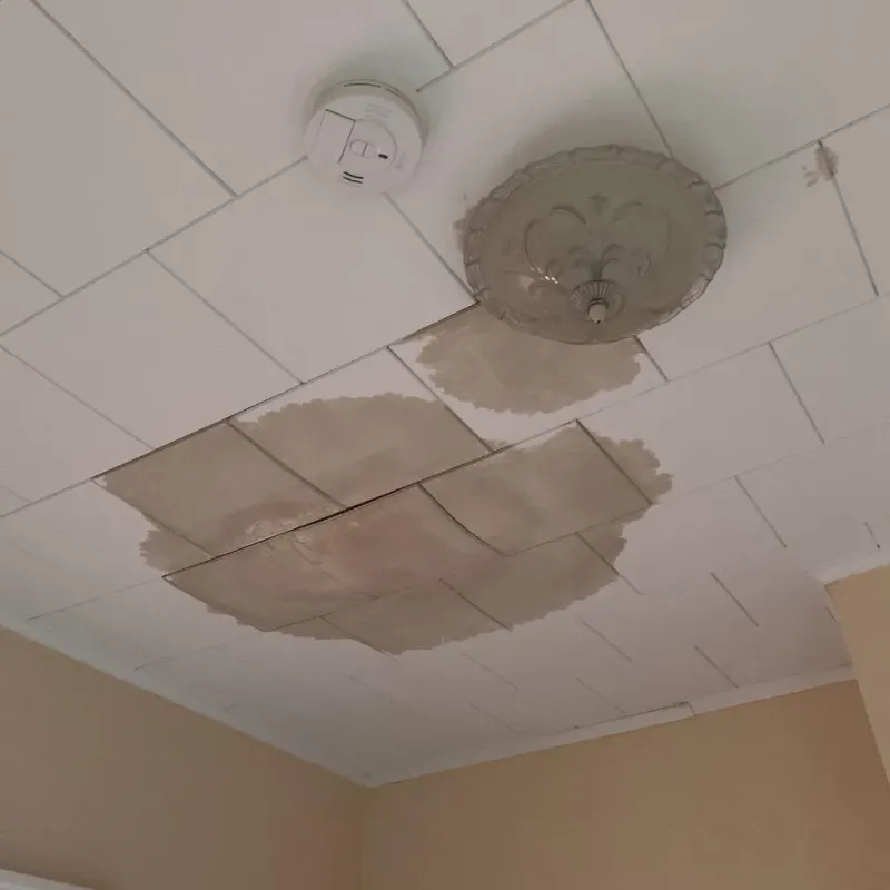 Ceiling Water Damage Repair in Guilford, CT