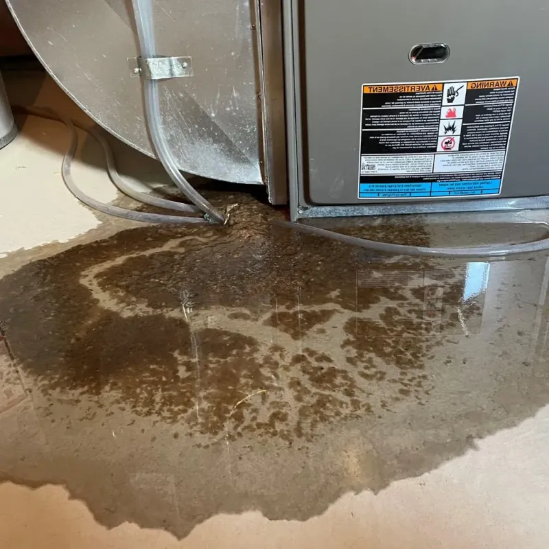 Pipe Burst and Leak Restoration in Guilford, CT